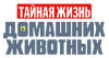 Тайная жизнь домашних животных